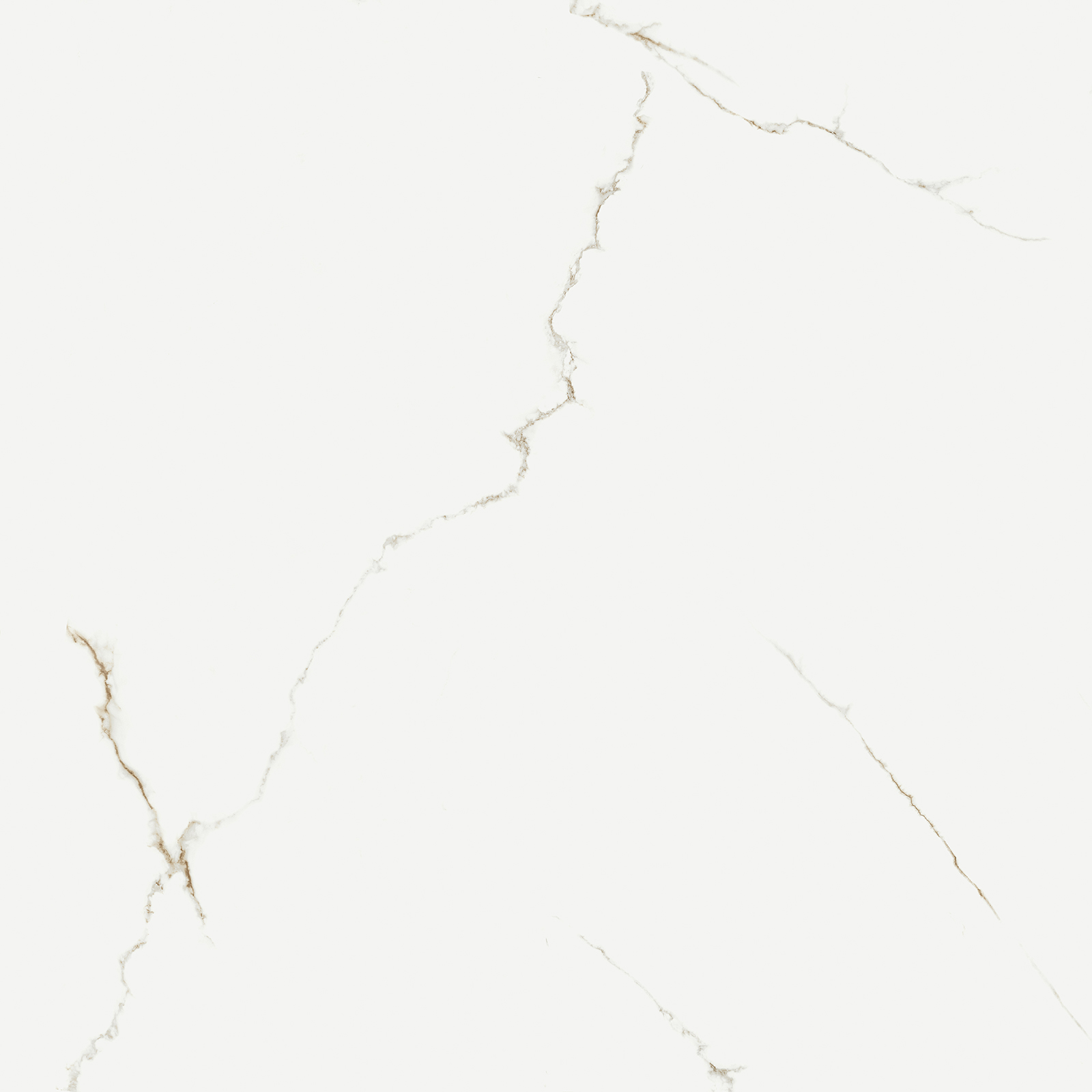 DLAŽBA STN CERAMICA THUILE WHITE POLISHED 119X119