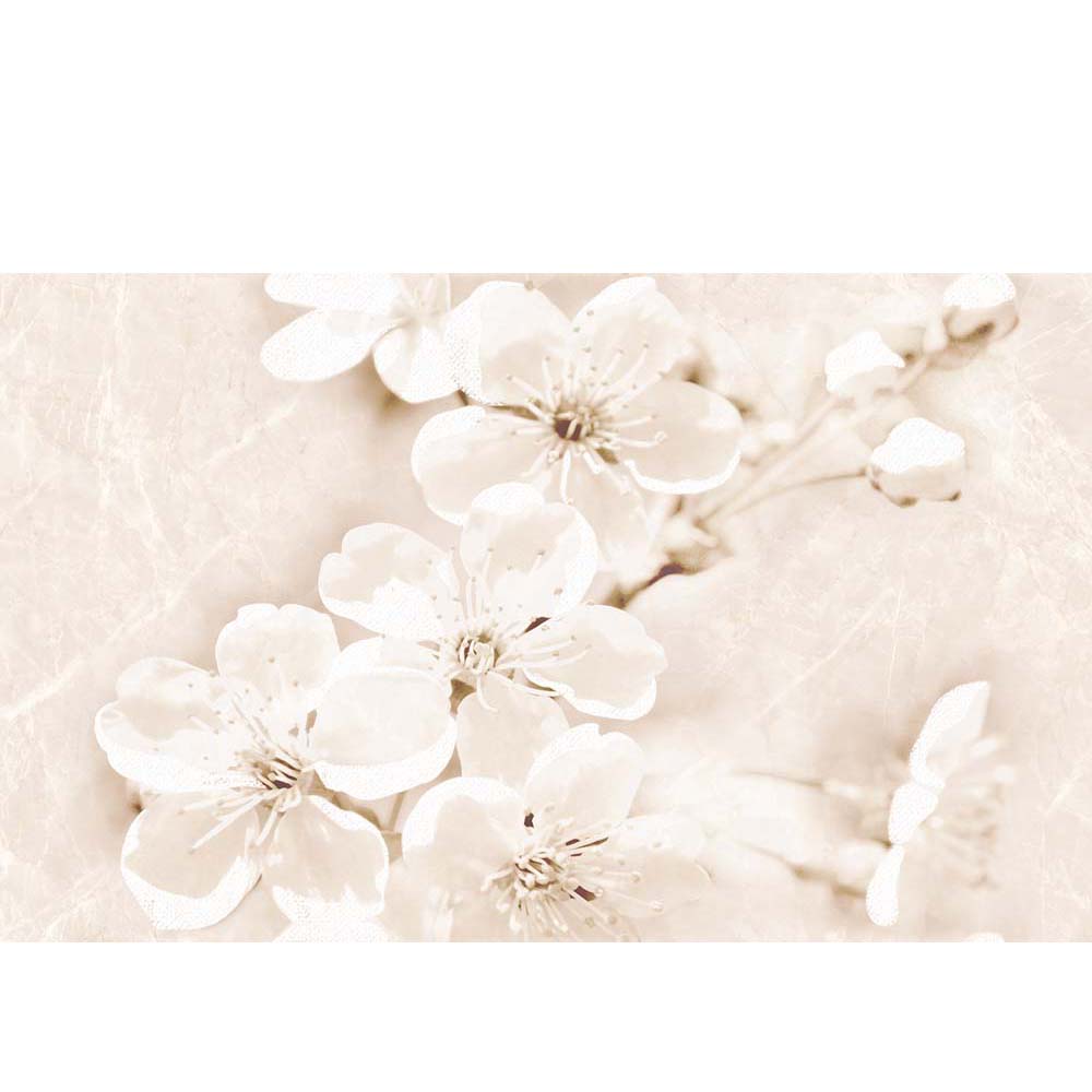 OBKLAD INSERTO SOFI CREAM GLOSSY FLOWER 25X40