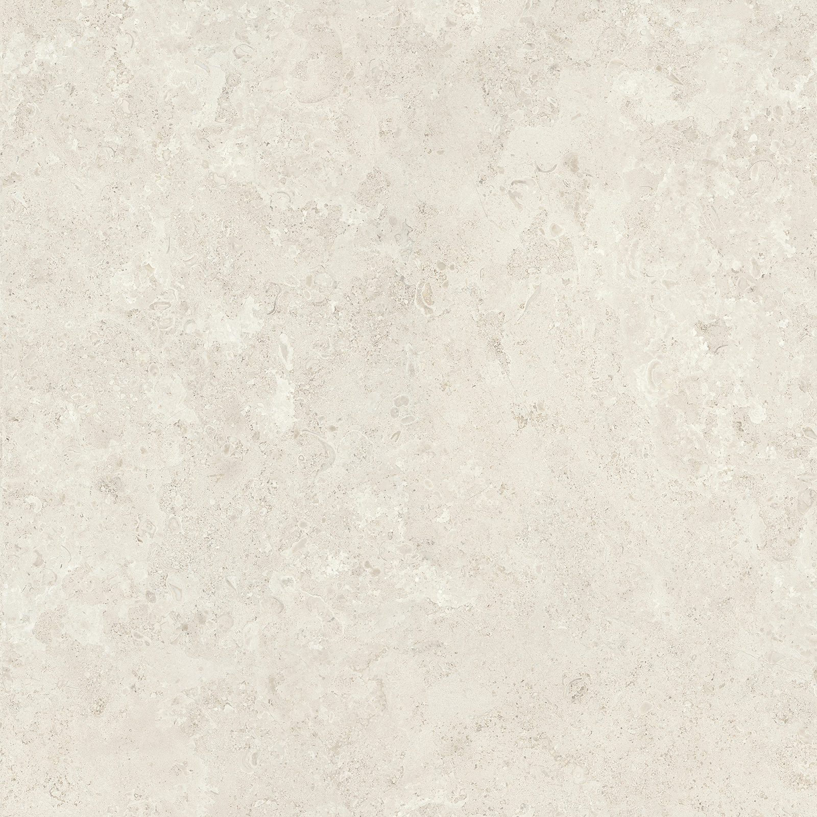 DLAŽBA SANTA MONICA BONE MAT 120x120 DLAŽBA SANTA MONICA BONE MAT 120x120