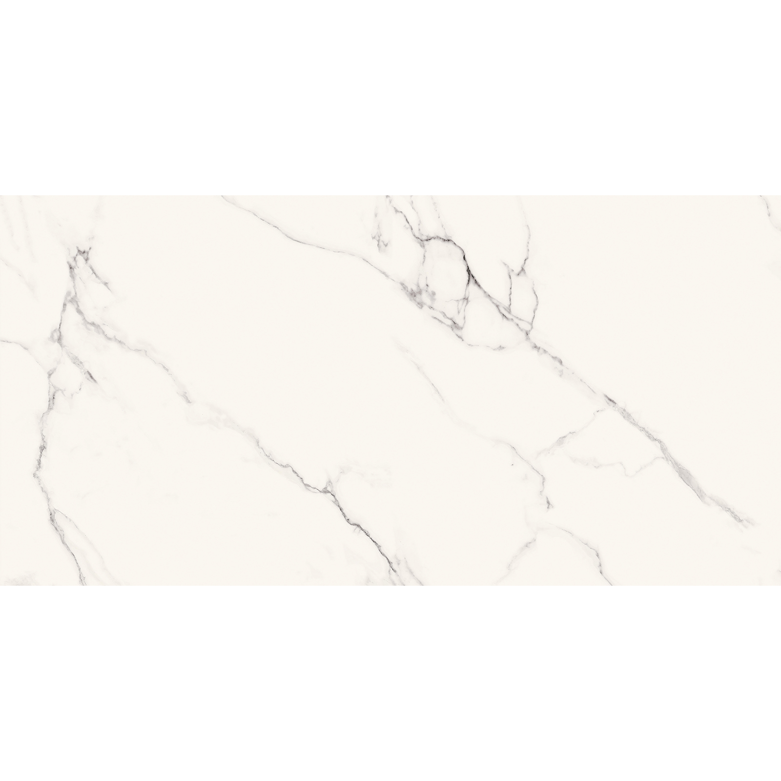 DLAŽBA CALACATTA NEW WHITE POLISHED 60X120 #S001