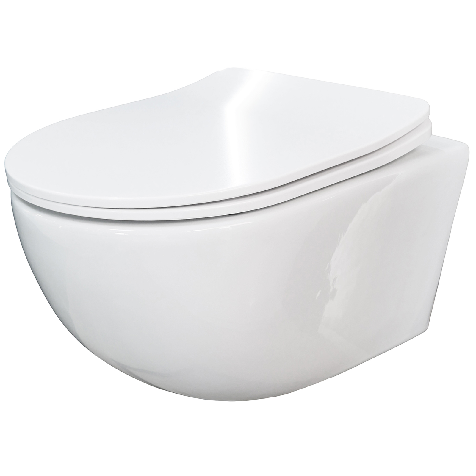 LAVITA ERIE závesná záchodová misa bez okraja so sedadlom z duroplastu biela