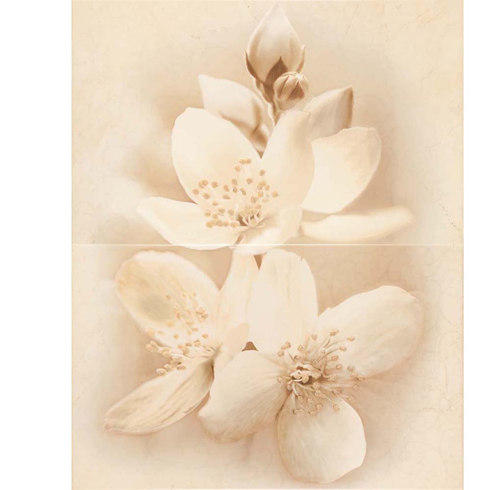 OBKLAD DIANA MULTICOLOR GLOSSY FLOWER 40X50